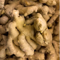 Ginger
